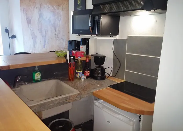 Cote Pont Vieux-self Check-in Apartment *